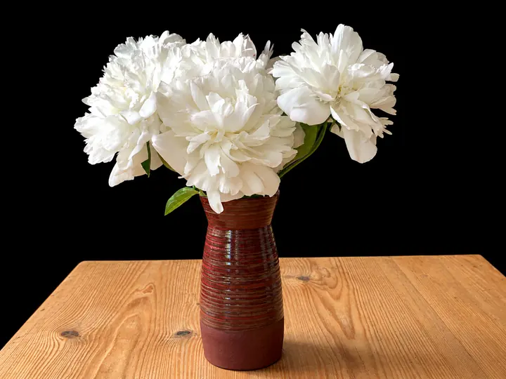 Vase strié rouge brun garni de pivoines blanches